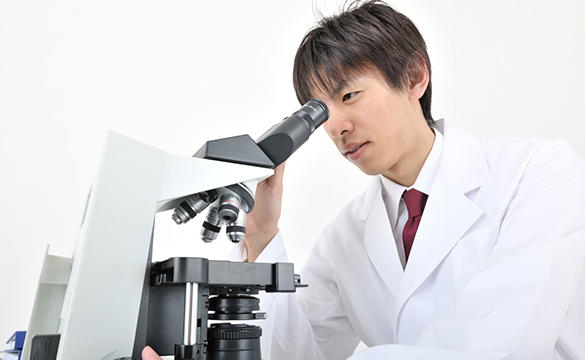 日之出薬局,山口県,熊毛郡,田布施町下田布施,処方せん受付,調剤薬局 日之出薬局,山口県,熊毛郡,田布施町下田布施,処方せん受付,調剤薬局